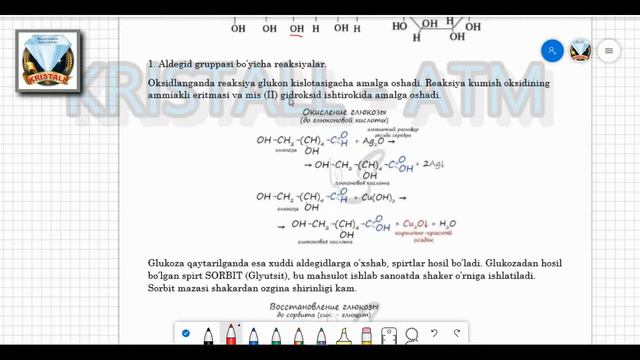 UGLEVODLAR | MONOSAXARIDLAR | DISAXARIDLAR | POLISAXARIDLAR смотреть онлайн
