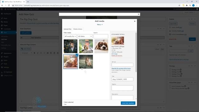 Create Quizzes and Quality Content | Das Quiz Plugin free | earn Money смотреть онлайн