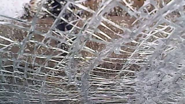 фаркоп прилетел смотреть онлайн