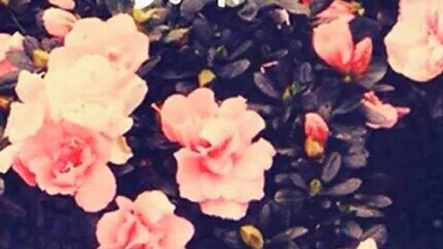 ！READY/SET/GO ！meme ❤collab❤ смотреть онлайн