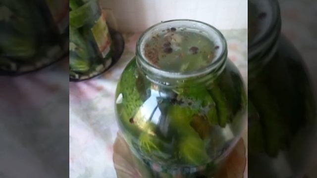 Первый опыт приготовления квашеных огурцов. смотреть онлайн