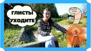 Как избавиться от глистов. Средство от глистов