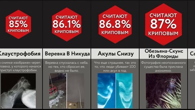 Жуть Из Интернета