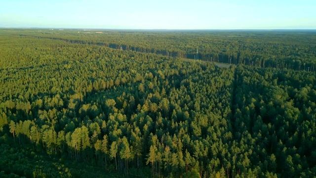 ? НОВЫЙ УЮТНЫЙ КРАСАВЕЦ В КУКУШКИНО | Тёплый пол | Высокие потолки | Стильная отделка | Камин | смотреть онлайн