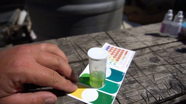 Рыбки растут, вода в пруду идеальная, всё чики-пуки. смотреть онлайн