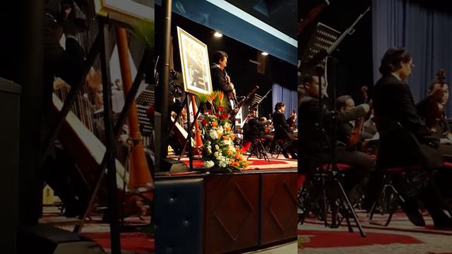 Donizetti Nemorino aria from L'elisir D'amore смотреть онлайн