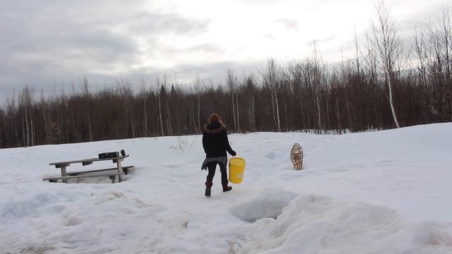 When The Toilet Paper Crisis Becomes A Reality смотреть онлайн
