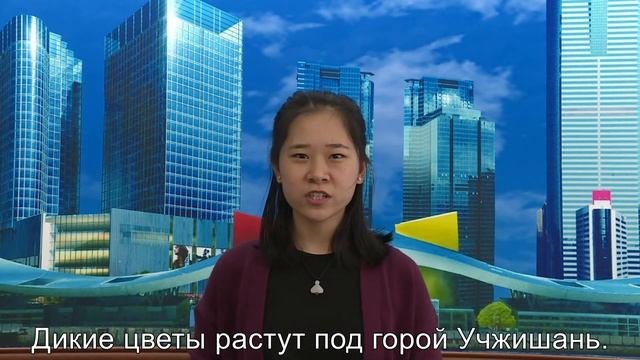 Ян Тяньцзяо, номер - стихотворение китайского поэта XI века Су Ши смотреть онлайн