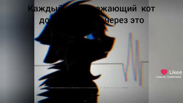 каждый уважающий себя кот должен пройти через это смотреть онлайн
