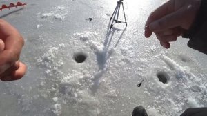 Рыбалка в Приморском крае. Ловля селедки