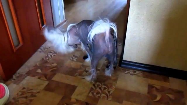 Учебник Ремонта