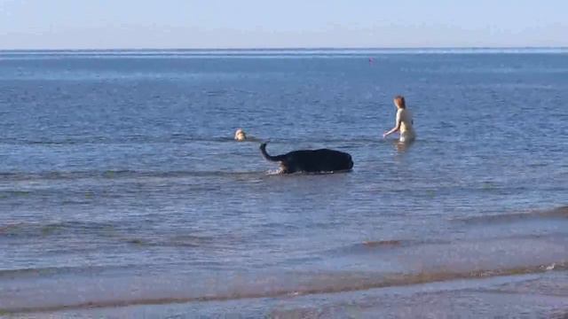 Venspils 2013 02 смотреть онлайн