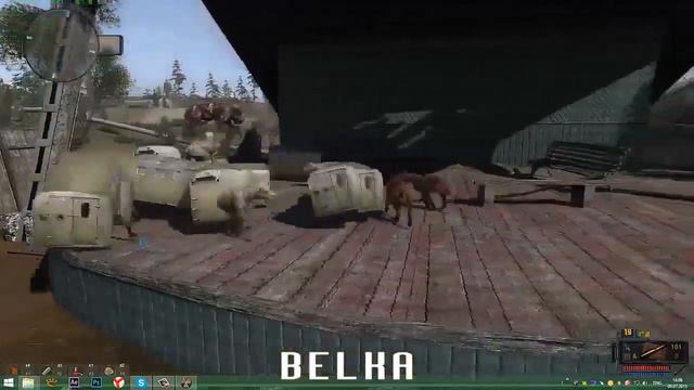 Белка мод представляет Веселый вогоник смотреть онлайн