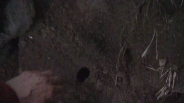 Нашли очень тяжелый предмет !!!! Смотреть до конца ! смотреть онлайн