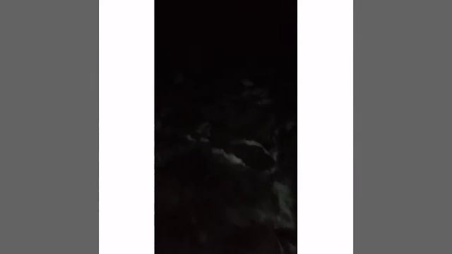 Алма Арасан горячий источник ночью.