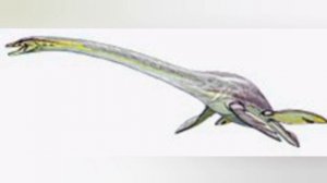 Кто такой пластиноящер (эласмозавр)?