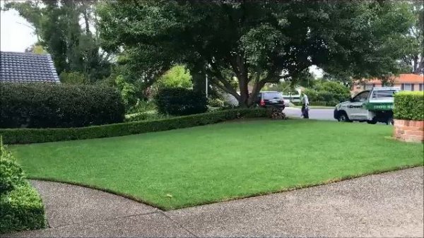 [How To Mow A Lawn] Like A Pro - Lawn Mowing Tips For A Great Looking Lawn - Lawn Care Tips