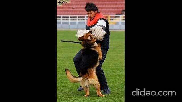 Тест на мужество или ТSB обязательный для рабочего класса проходит наш ZALO DLHA ROVEN TS смотреть онлайн