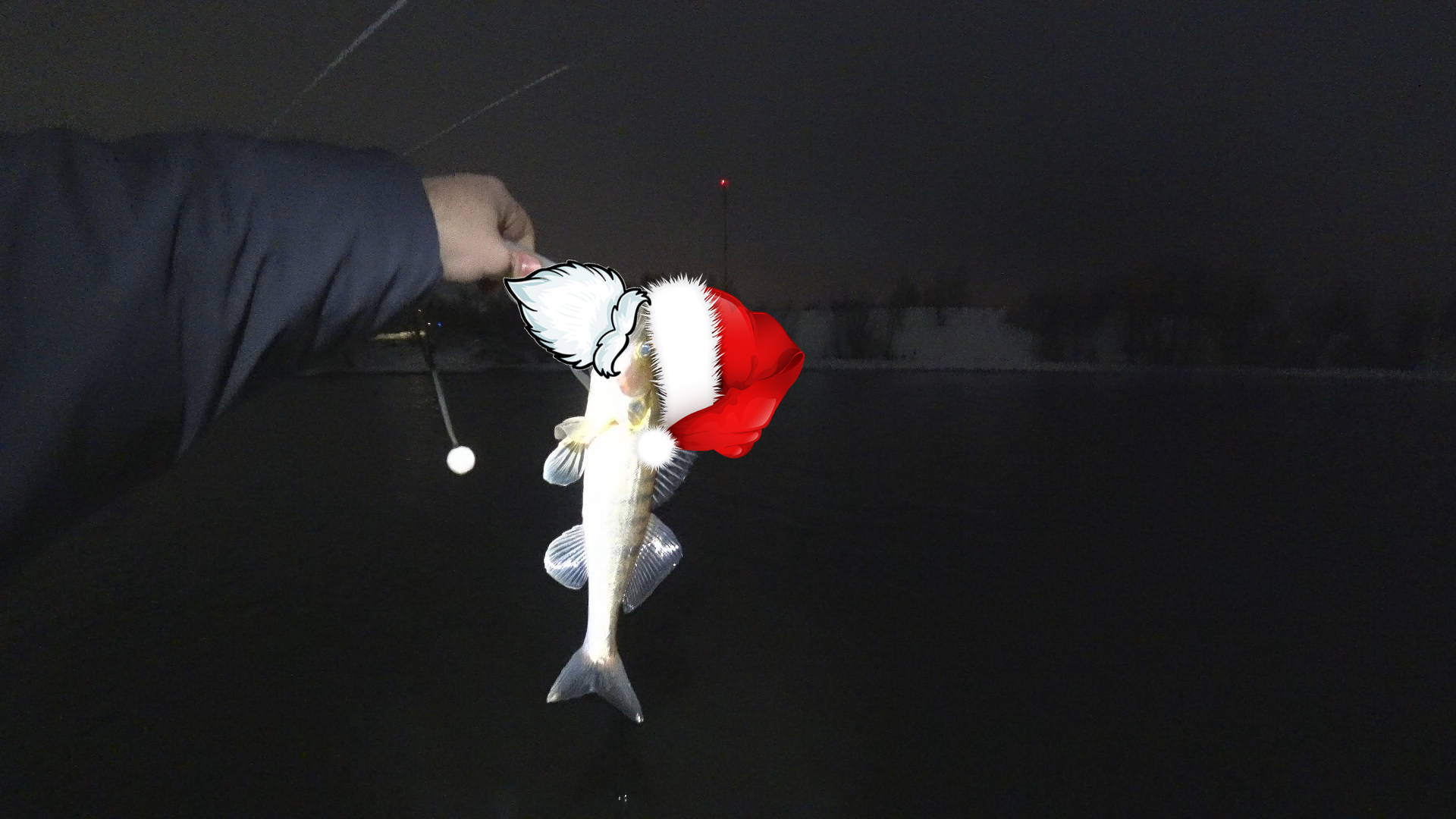 Предновогодняя ловля судака на Москва-реке