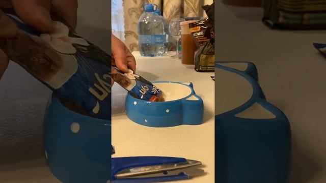 Кошачий суп ?