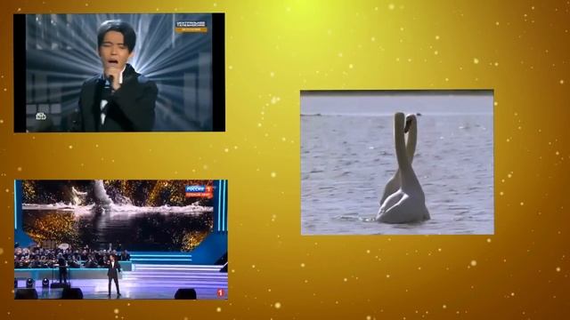 Dimash ----- Любовь уставших лебедей смотреть онлайн