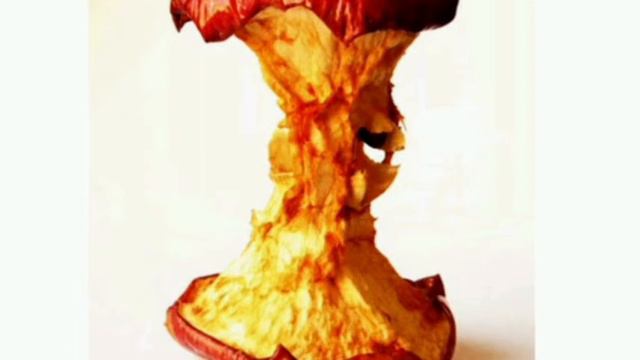 Мы то, что вкладываем в свою голову. смотреть онлайн