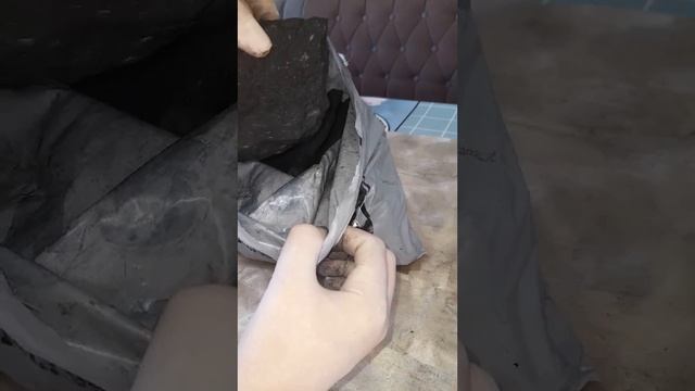 N°-37. ДЕФИНБАХИЯ гулининг парвариши ва купайтирилиши... смотреть онлайн