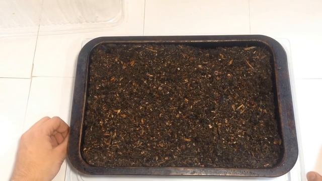 Когда сажать перец на рассаду (Самый лучший способ) смотреть онлайн