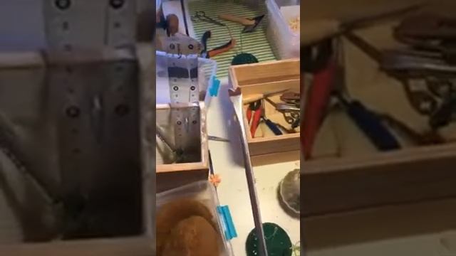 В гостях у Анны Братковой смотреть онлайн