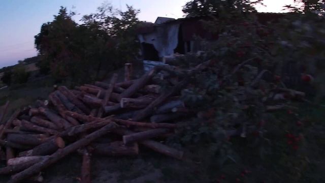 Завезли 6 кубов дров. Цена на дрова смотреть онлайн