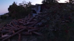 Завезли 6 кубов дров. Цена на дрова