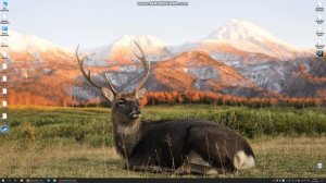 Как просто скачать фотографии из Яндекс Диска на компьютер