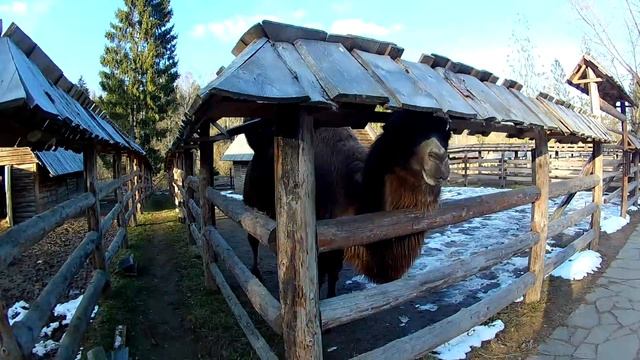 Кантри Резорт (Country Resort) Вербилки. Обзор и отзыв. Апрель 2017. смотреть онлайн
