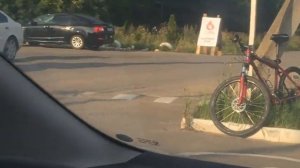 #Лето_Дача_Перепела версия 2019. Мои перепела и перепела гриль