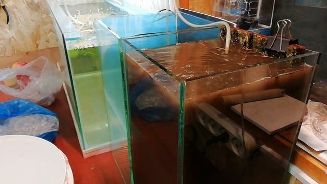 Продолжение дафния из болота смотреть онлайн