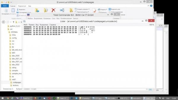 Кодировки ANSI, UTF-8 и Unicode - Чем отличаются?