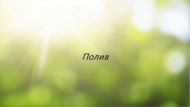 ЦИССУС или Комнатный виноград - неприхотливая лиана. Уход в домашних условиях смотреть онлайн