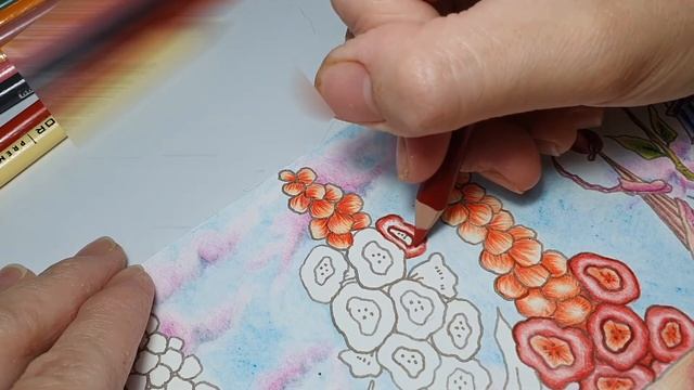 Adult Coloring- romantic country part 5, how to color flower | foxglove coloring | prismacolor смотреть онлайн