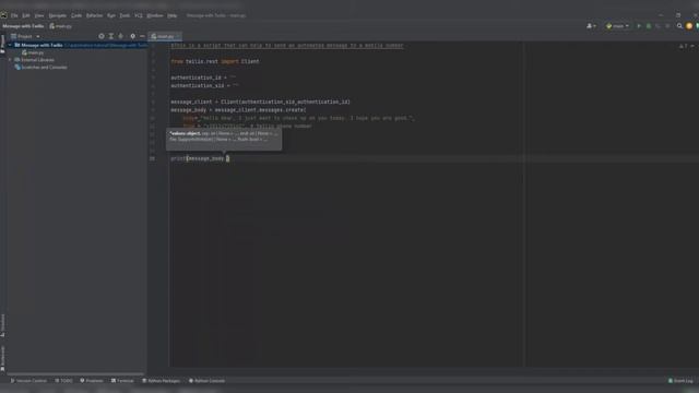 Send SMS To Any Mobile Number Using Simple Python Automation - Complete Project смотреть онлайн