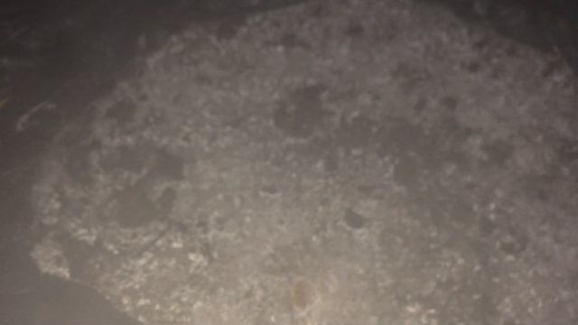 Появление завязи шампиньонов. Первые ошибки. смотреть онлайн