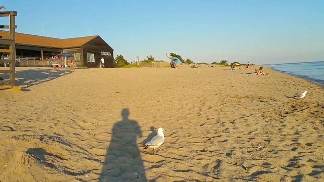 Море в Штатах (Коннектикут). смотреть онлайн