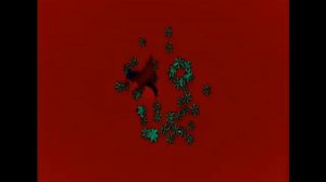 карусель в эффектах 8