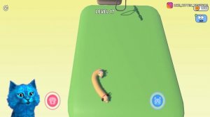 ? ЭВОЛЮЦИЯ ДЛИНЫ КОТОПСА ? Максимальный Уровень Cats & Dogs 3D Noob vs Pro vs Hacker КОТЁНОК ЛАЙК