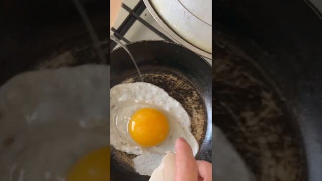 Гусыни занеслись в феврале в гнездо простое! Яйцо гусиное взвешиваем и готовим. Какое яйцо люблю я? смотреть онлайн