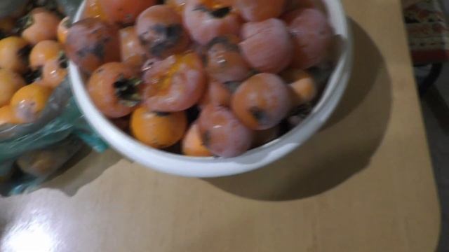 Хурма виргинская на семена. 23