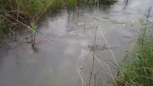 Вода-чудо. Звуки воды для релаксации смотреть онлайн