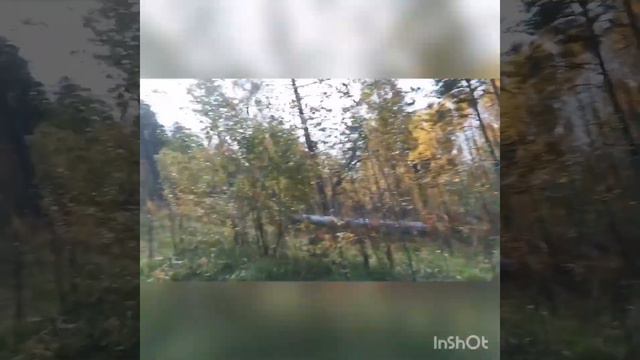 Красноярский хайкинг. Тропа Базайская. Хипсит. смотреть онлайн