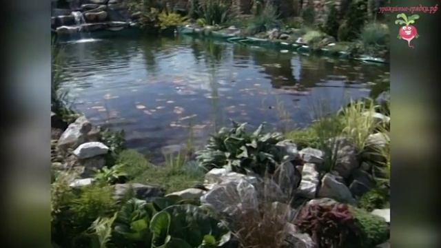 Ландшафтный дизайн участка видео #urozhainye_gryadki смотреть онлайн