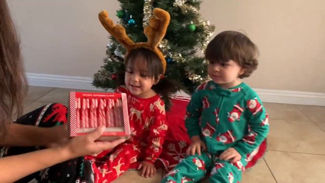Gaby and Bruno set up their Christmas Tree! Christmas activities for toddlers! :) смотреть онлайн