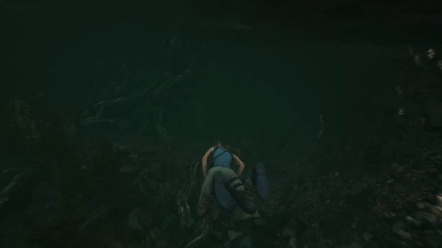 Shadow of the Tomb Raider : arrivée au Pérou (PC FR - 3440x1440 max settings) смотреть онлайн